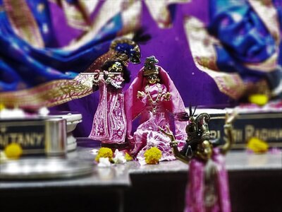 gallery image 24