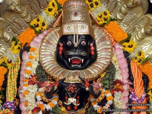 Narsimha Chaturdashi