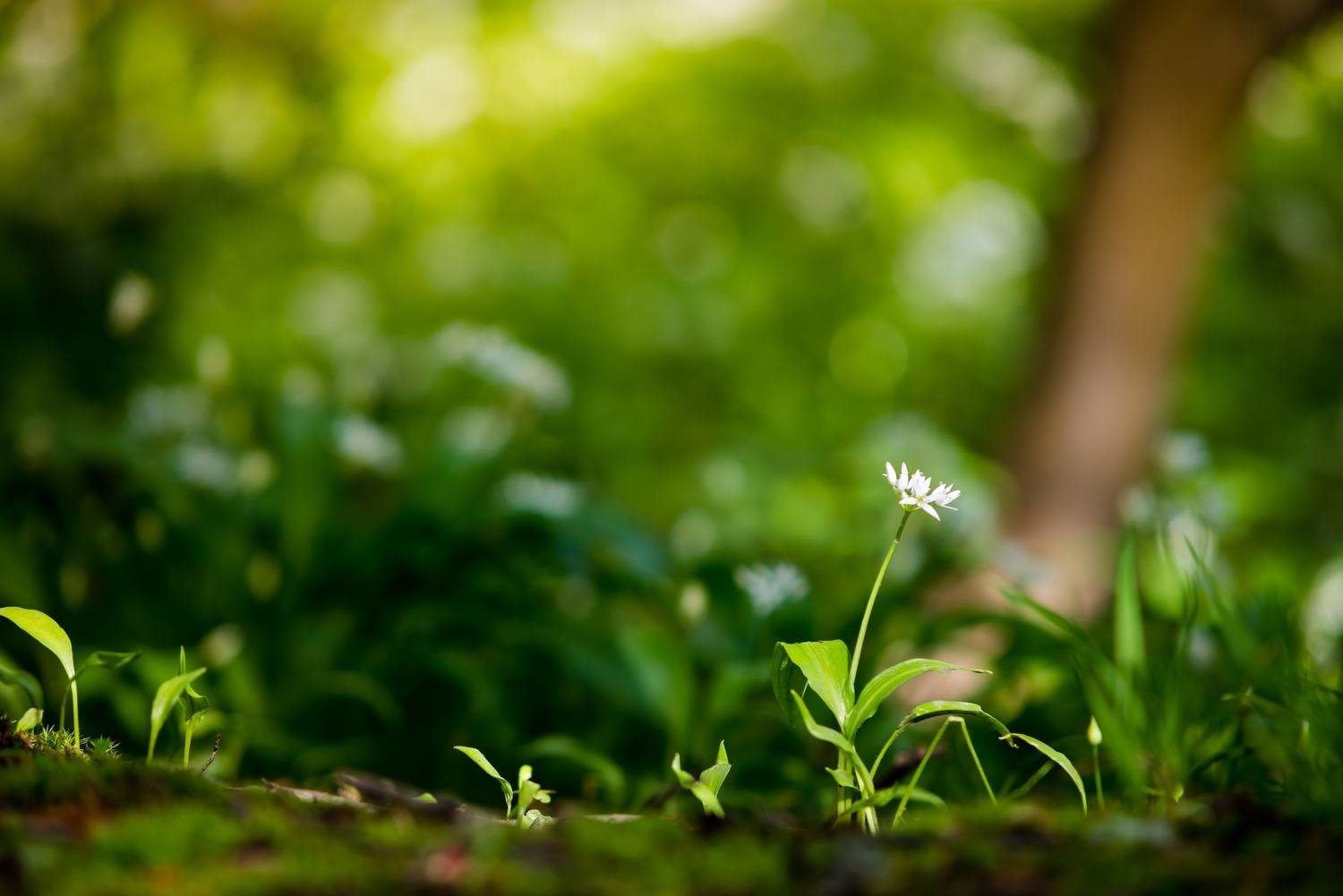 Spiritual Empowerment Video