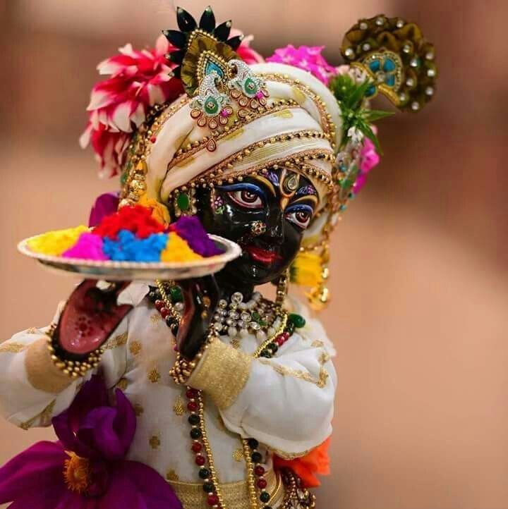 Festival Donation